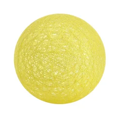 - Produits à l'unité -  Citron