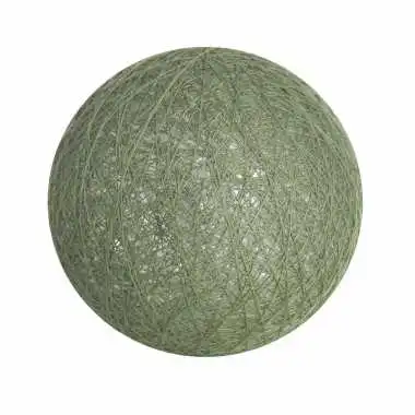 - Produits à l'unité -  Cactus
