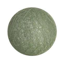 - Produits à l'unité -  Cactus