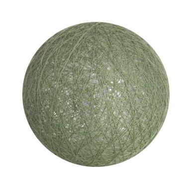 - Produits à l'unité -  Cactus