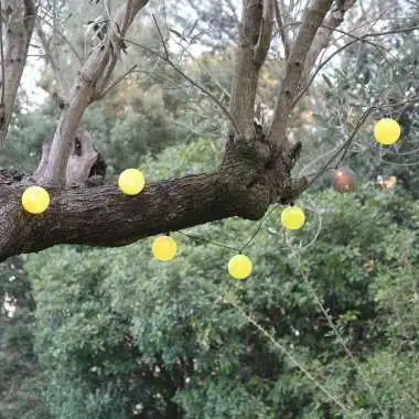 Guirled - Guirlande étanche & solaire -  Tagada Guirlande lumineuse extérieure étanche & solaire boules LED