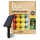 Agrume Guirlande extérieur Guirlande lumineuse boule étanche & solaire LED