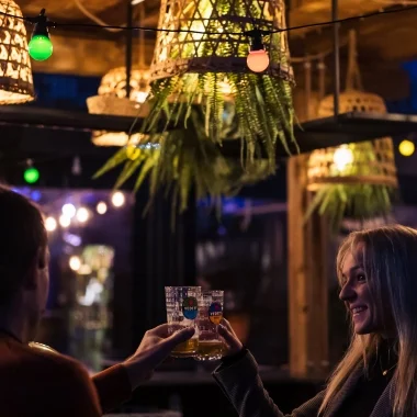 Guirled - Guirled -  Guinguette Colors Edition 32 LED Guirlande lumineuse Solaire & Étanche Feuille photovoltaïque XL