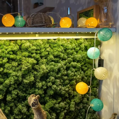 Light ball garland - Remote-controlled Hemisphere - Guirled