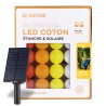 Agrume Guirlande extérieur Guirlande lumineuse boule étanche & solaire LED