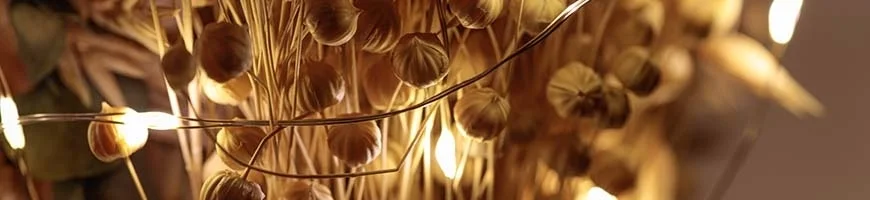 Toutes les Guirlandes lumineuses Mini LED - Filament cuivre - Guirled