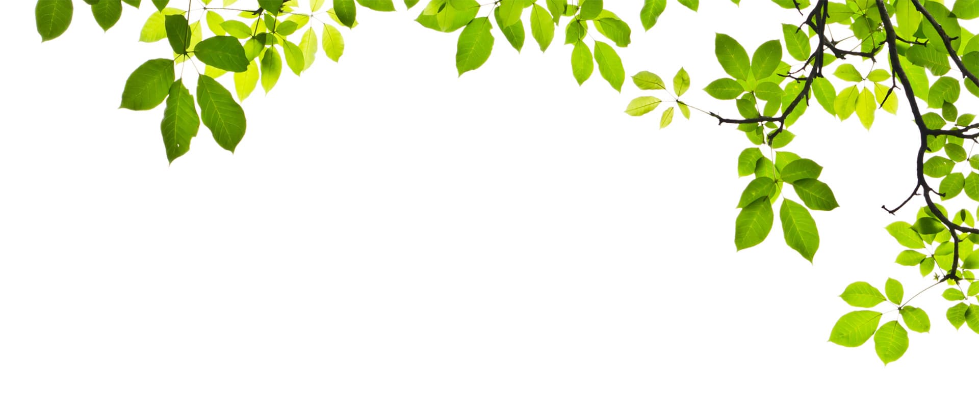 Slide background