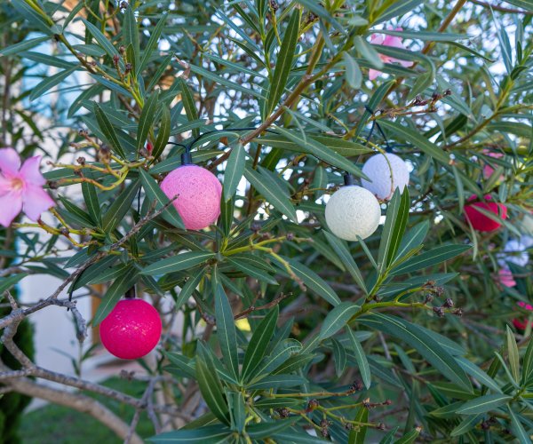 Guirlande boule lumineuse plante