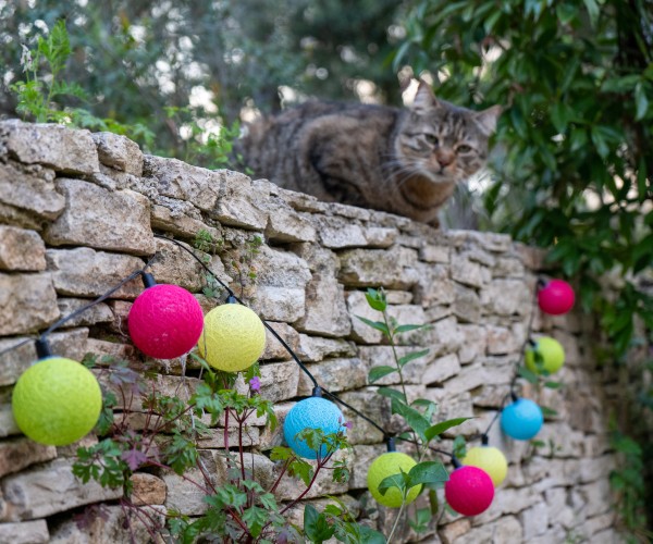 Guirlande extérieur lumineuse boules