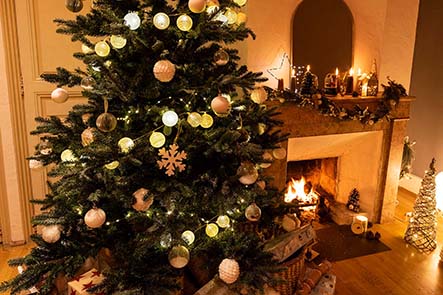 On sort les guirlandes ? Quel est le bon moment pour commencer à décorer sa  maison pour Noël ?