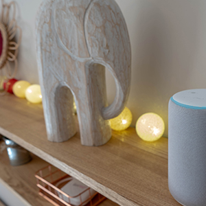 guirlande lumineuse alexa google