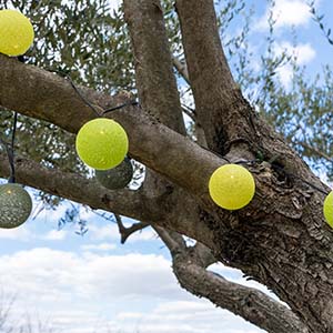 Guirlande boule lumineuse extérieur - Fougère - Guirled