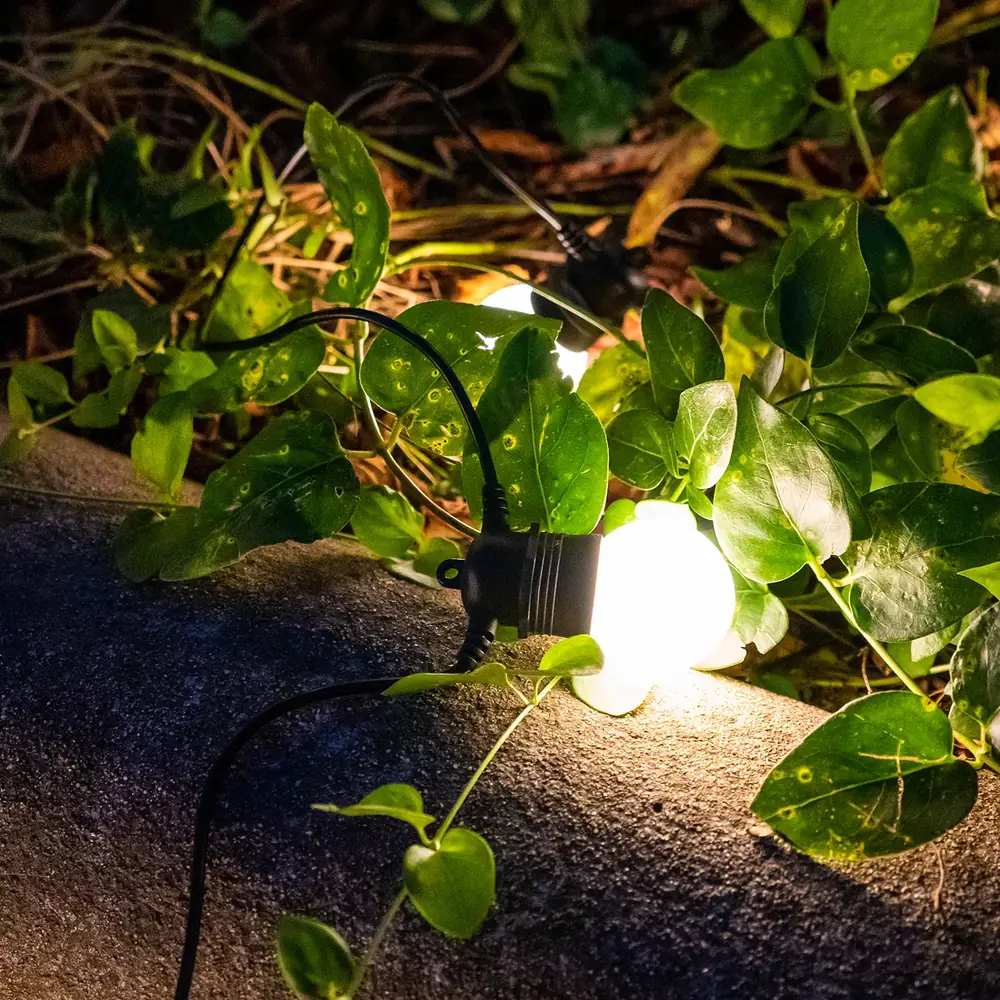 LED-lamp van een Guinguette-lichtslinger van Guirled tussen het gebladerte