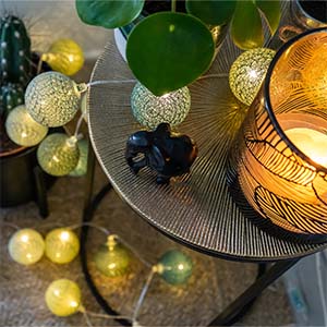 guirlande lumineuse alexa google