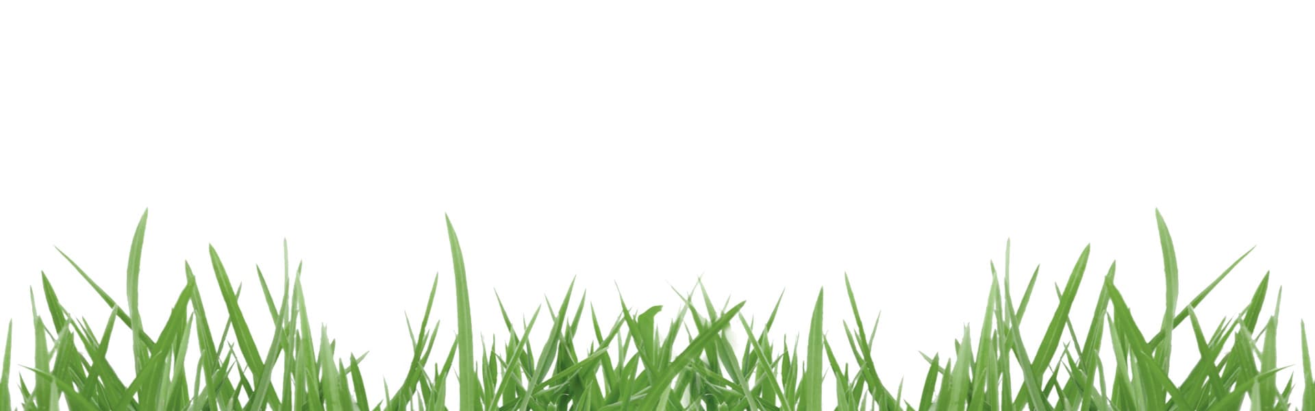 Slide background