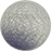 Maus