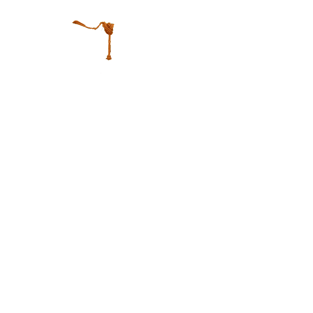 Corde Orange