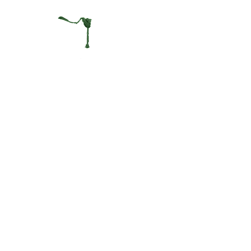 Corde Verte