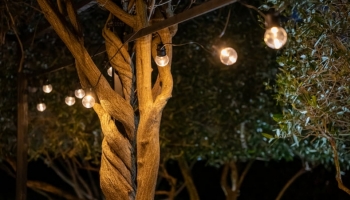 Guirlande Guinguette : 5 idées lumineuses pour une terrasse d'été 